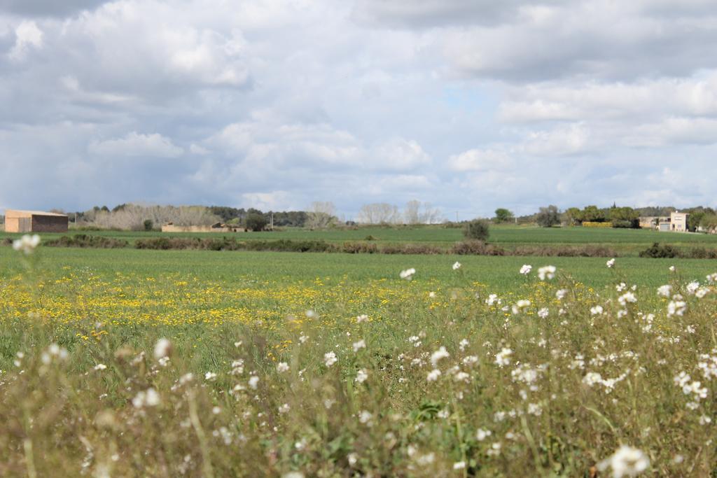 Allotjament Bora Bora Emporda Girona Διαμέρισμα Verges Εξωτερικό φωτογραφία